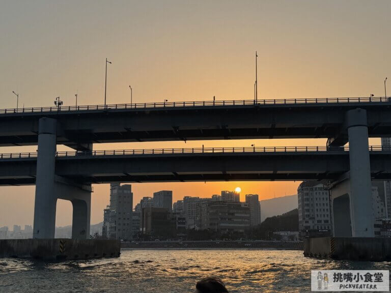 釜山遊艇theyacht